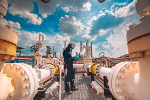 Gazdan Arındırma Servisi, Degassing Service